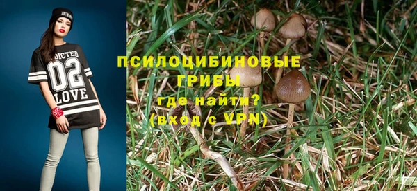 молекула духа Аркадак